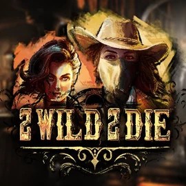 Play the 2 Wild 2 Die slot by Hacksaw Gaming on Goldzino Casino